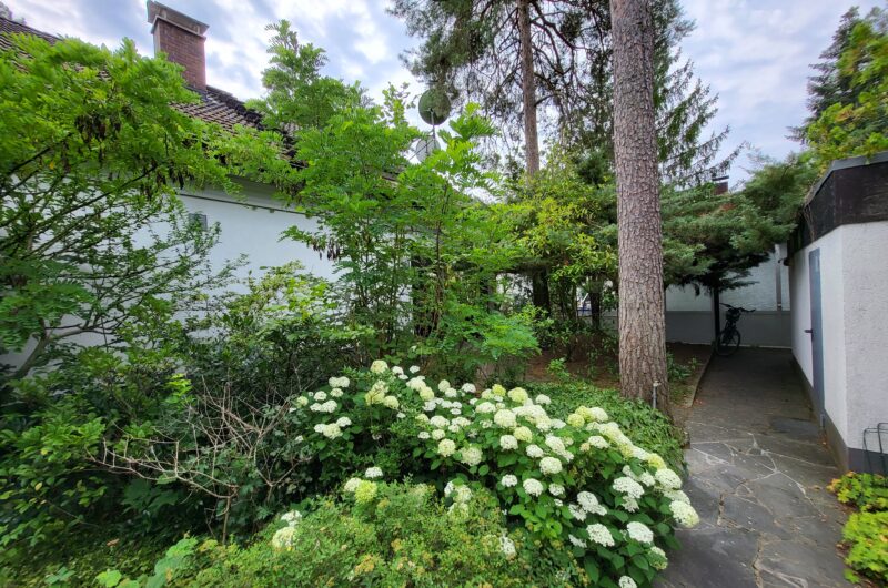 Architektenhaus in Erlangen zu verkaufen - Gartenansicht Richtung Grundstückseingang